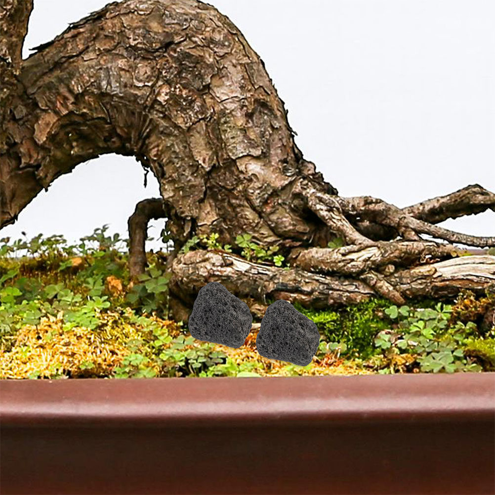 Aquarium Planted Tank Filter - Kamienie wulkaniczne do akwarium, naturalne małe