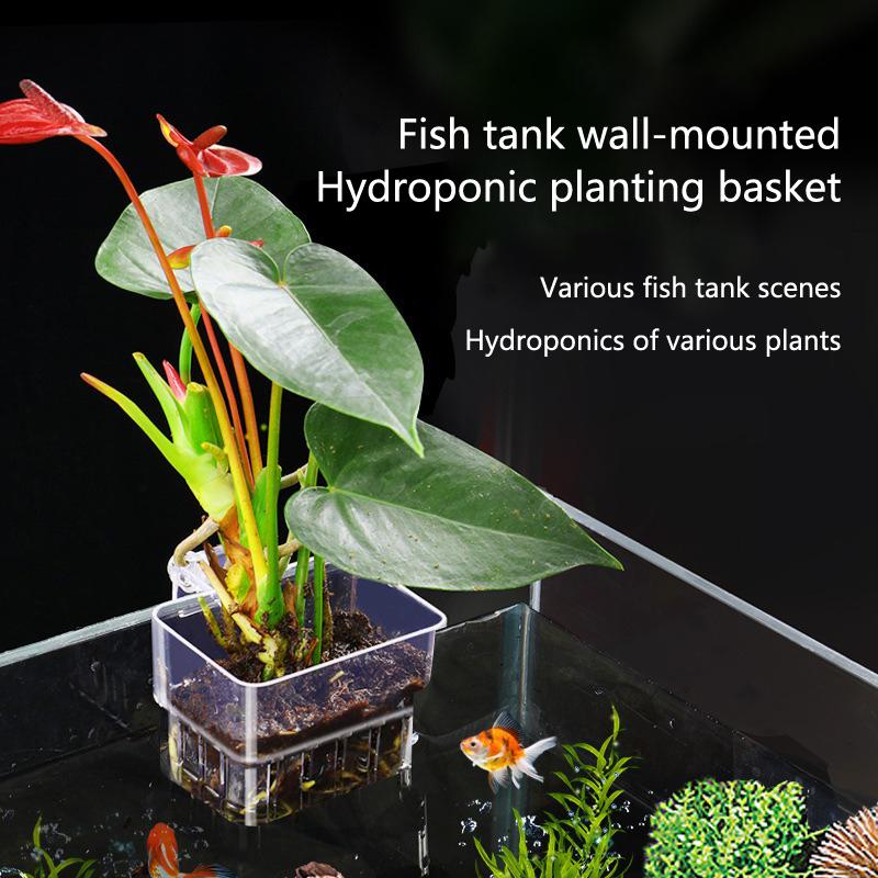 Aquarium Planted Set Up - Kubek do hydroponicznego uprawy roślin akwariowych