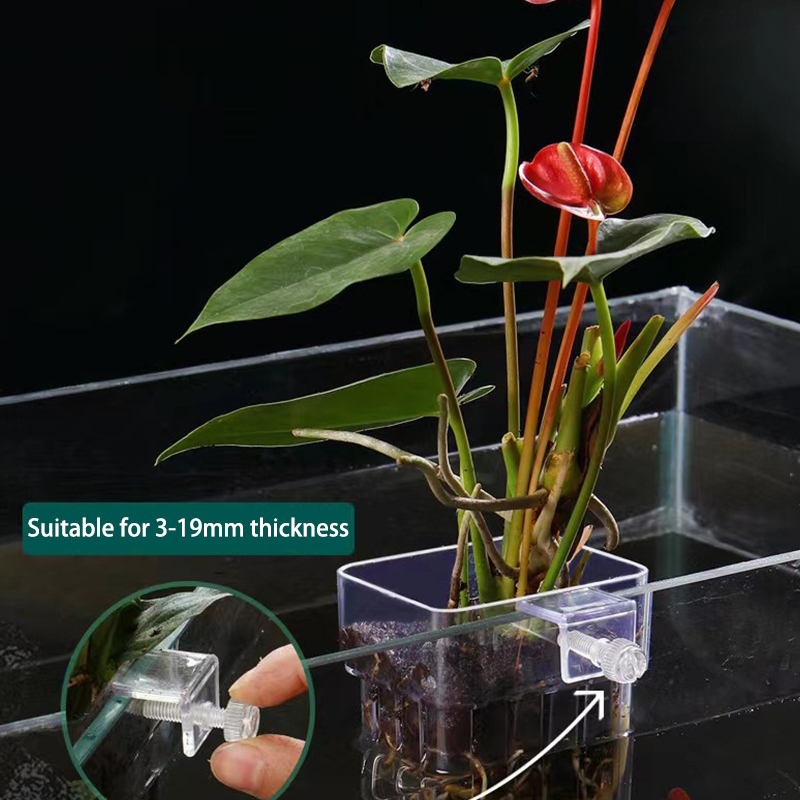 Aquarium Planted Tank - Wielofunkcyjny akwarium dla ryb kubek do