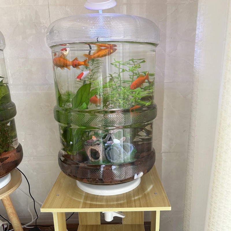 Aquarium Planted Set Up - Akwarium domowe z natychmiastowym montażem, 30x30cm,