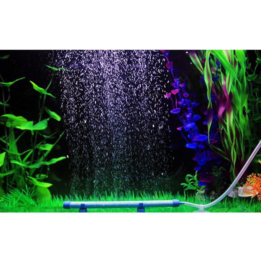 Dyfuzor tlenu do akwarium, aer – Non Planted Aquarium Fish recenzja i cena
