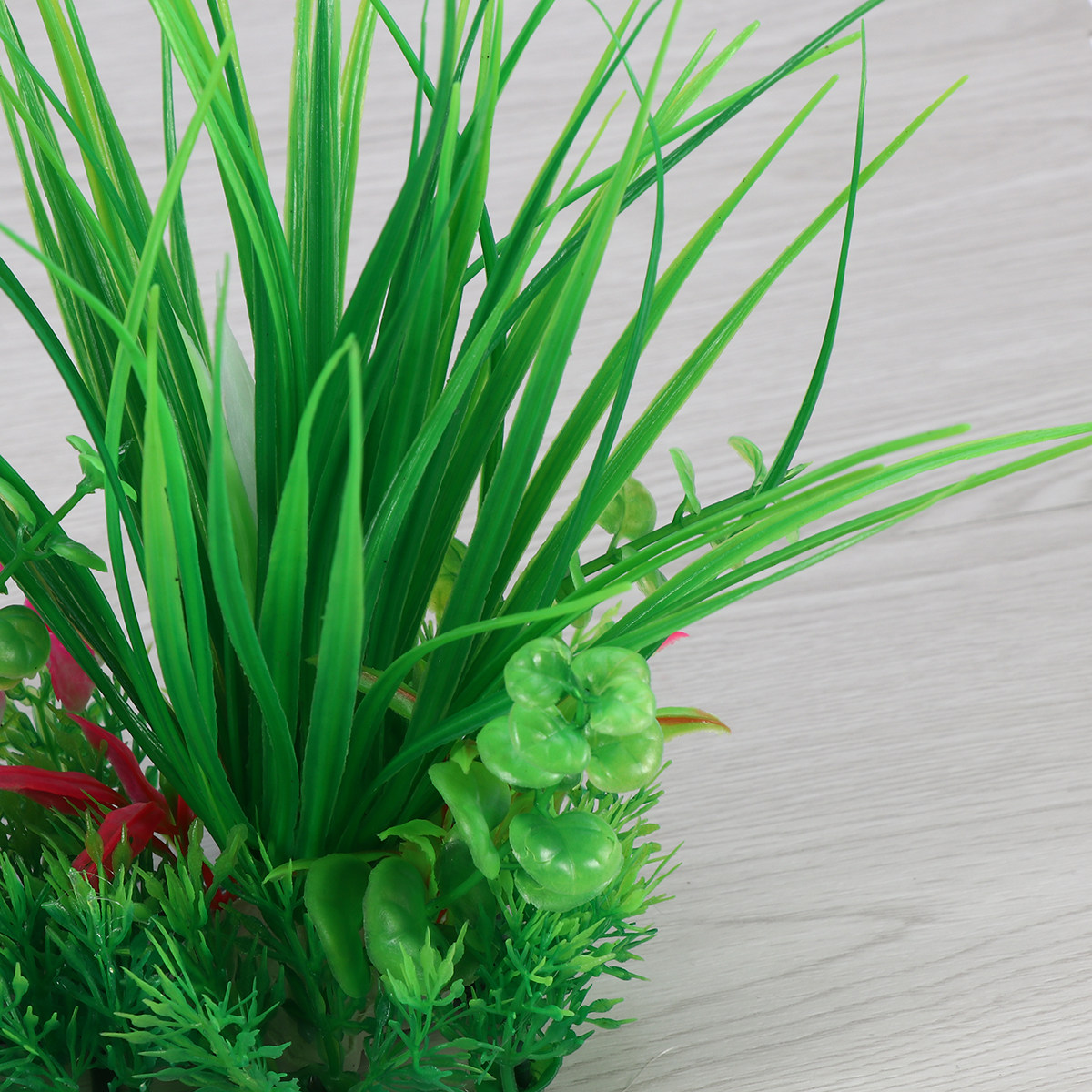 Wysokiej jakości sztuczne rośl – Non Planted Aquarium Fish recenzja i cena