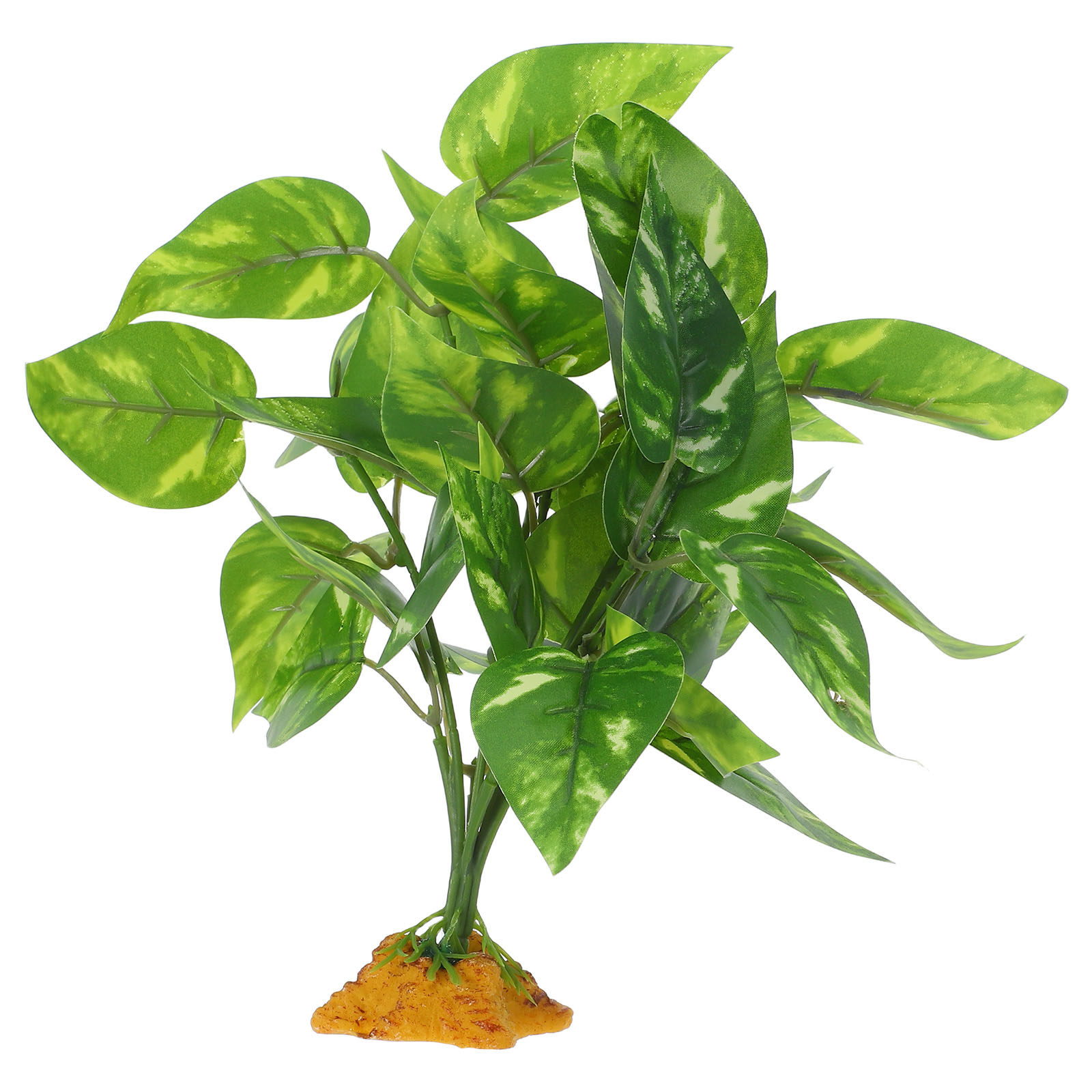 Bezpieczne, nietoksyczne, real – Non Planted Aquarium Fish recenzja i cena