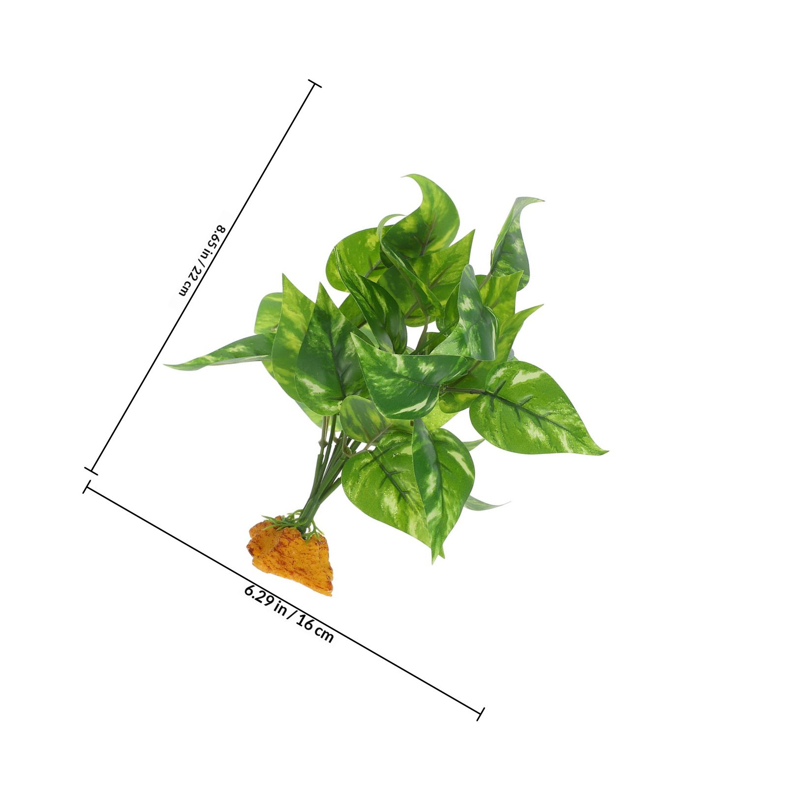 Bezpieczne, nietoksyczne, real – Non Planted Aquarium Fish recenzja i cena