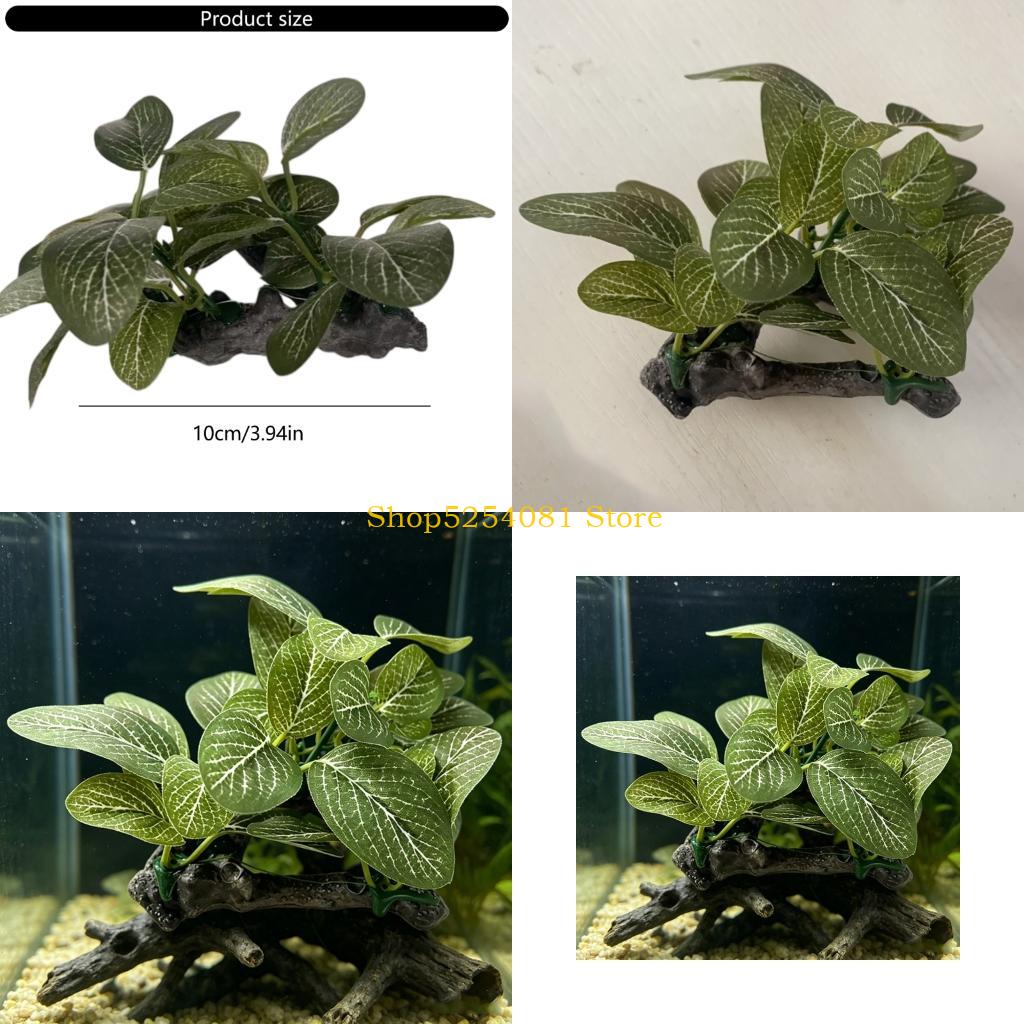 AXYC Krajobraz akwariowy Drift – Non Planted Aquarium Fish recenzja i cena