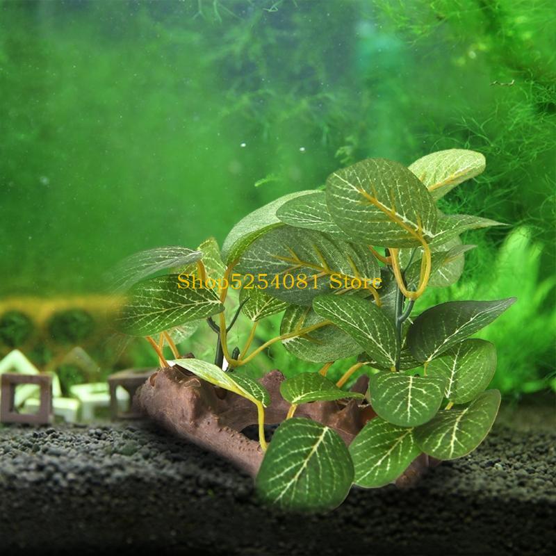 AXYC Krajobraz akwariowy Drift – Non Planted Aquarium Fish recenzja i cena