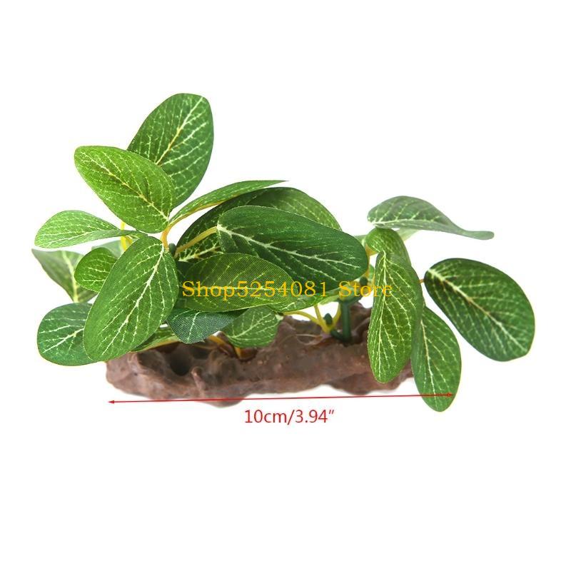 AXYC Krajobraz akwariowy Drift – Non Planted Aquarium Fish recenzja i cena