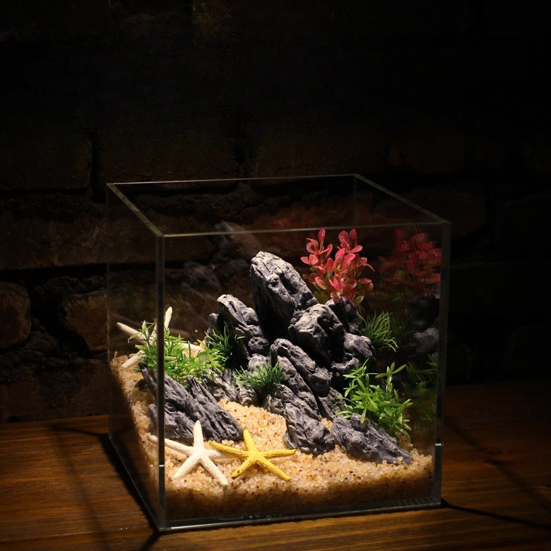 Dekoracja Akwarium Symulacja K – Aquarium Planted Set Up recenzja i cena