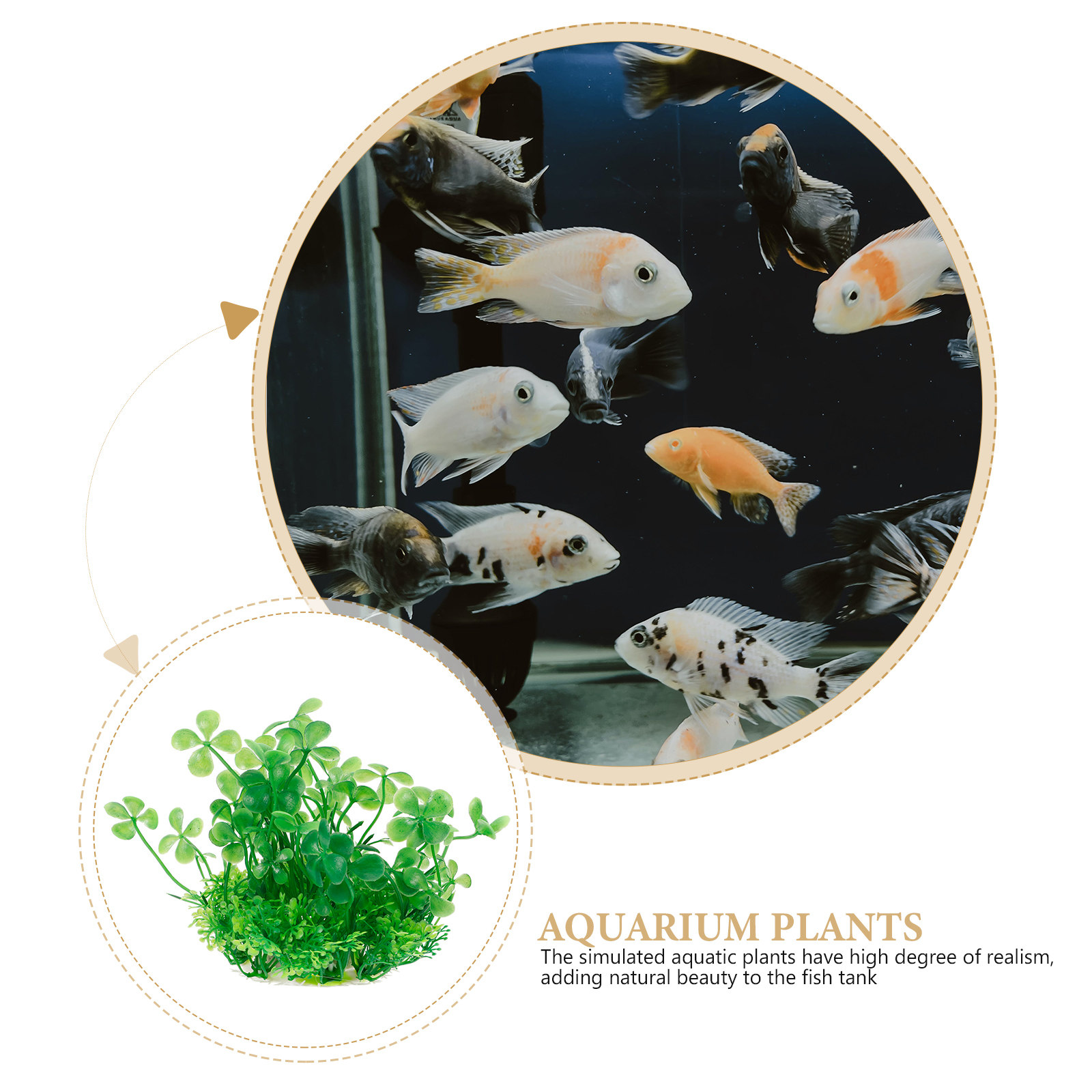Realistyczne sztuczne rośliny  – Aquarium Planted Set Up recenzja i cena
