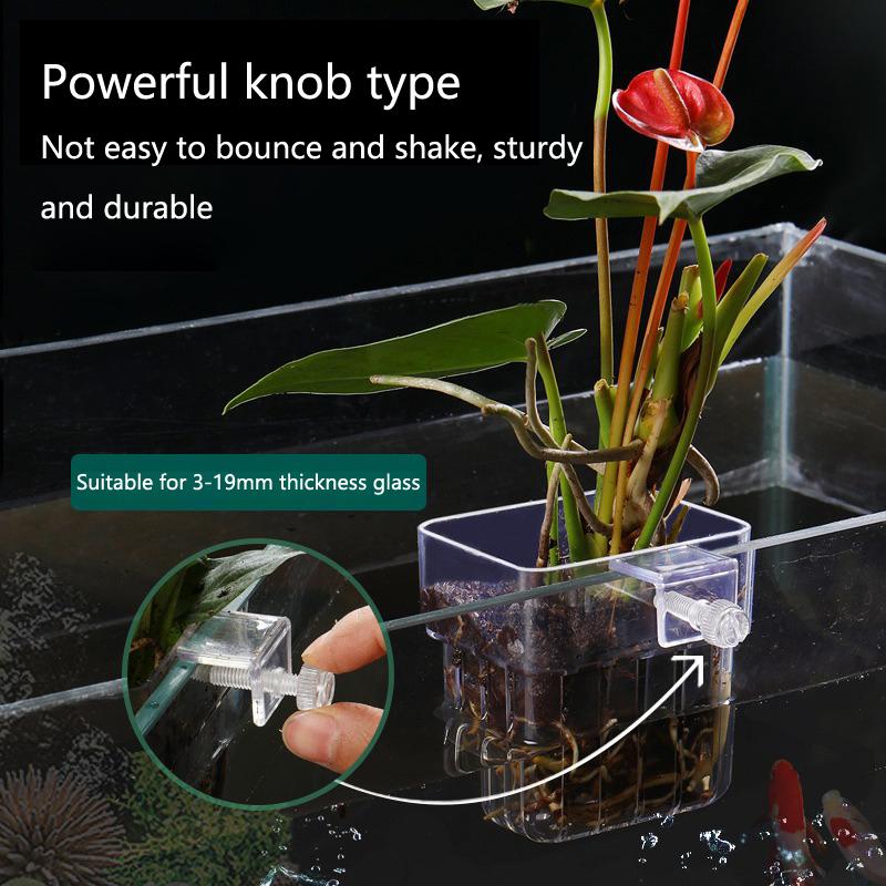 Kubek do hydroponicznego upraw – Aquarium Planted Set Up recenzja i cena