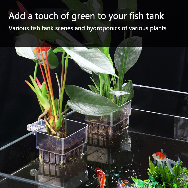 Kubek do hydroponicznego upraw – Aquarium Planted Set Up recenzja i cena