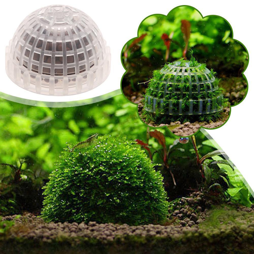 1/2/3/4/5 SZT. Dekoracja do ak – Aquarium Planted Tank Filter recenzja i cena
