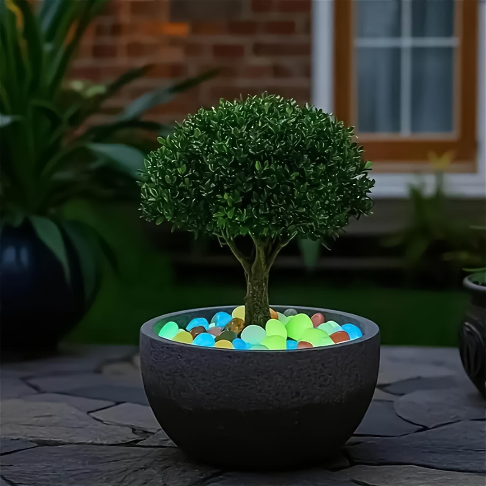 Kamienie do aranżacji krajobra – Planted Aquarium With Rocks recenzja i cena
