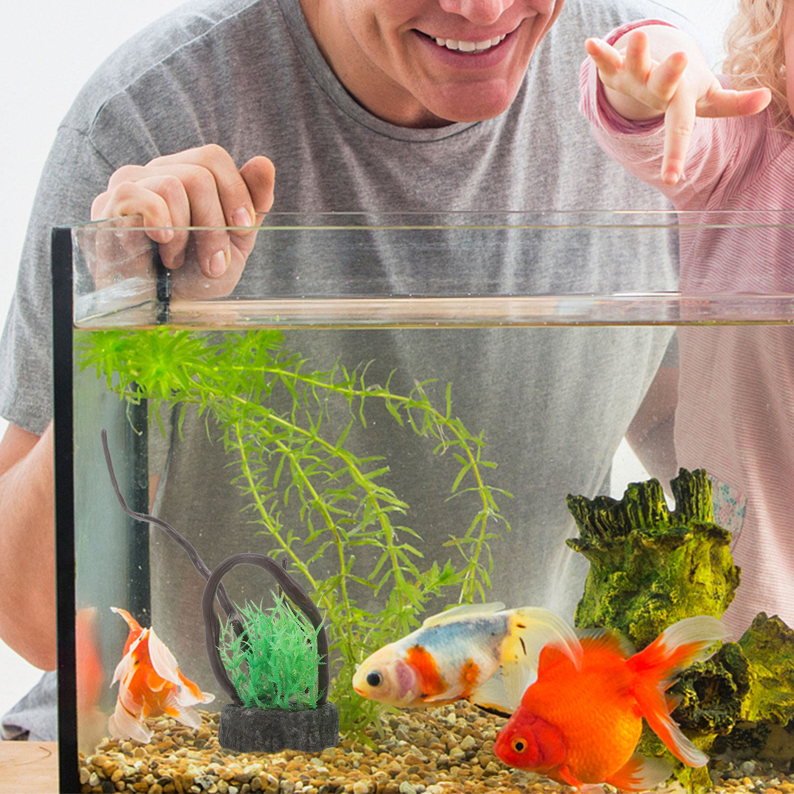 Realistyczny zestaw sztucznych – Non Planted Aquarium Fish recenzja i cena