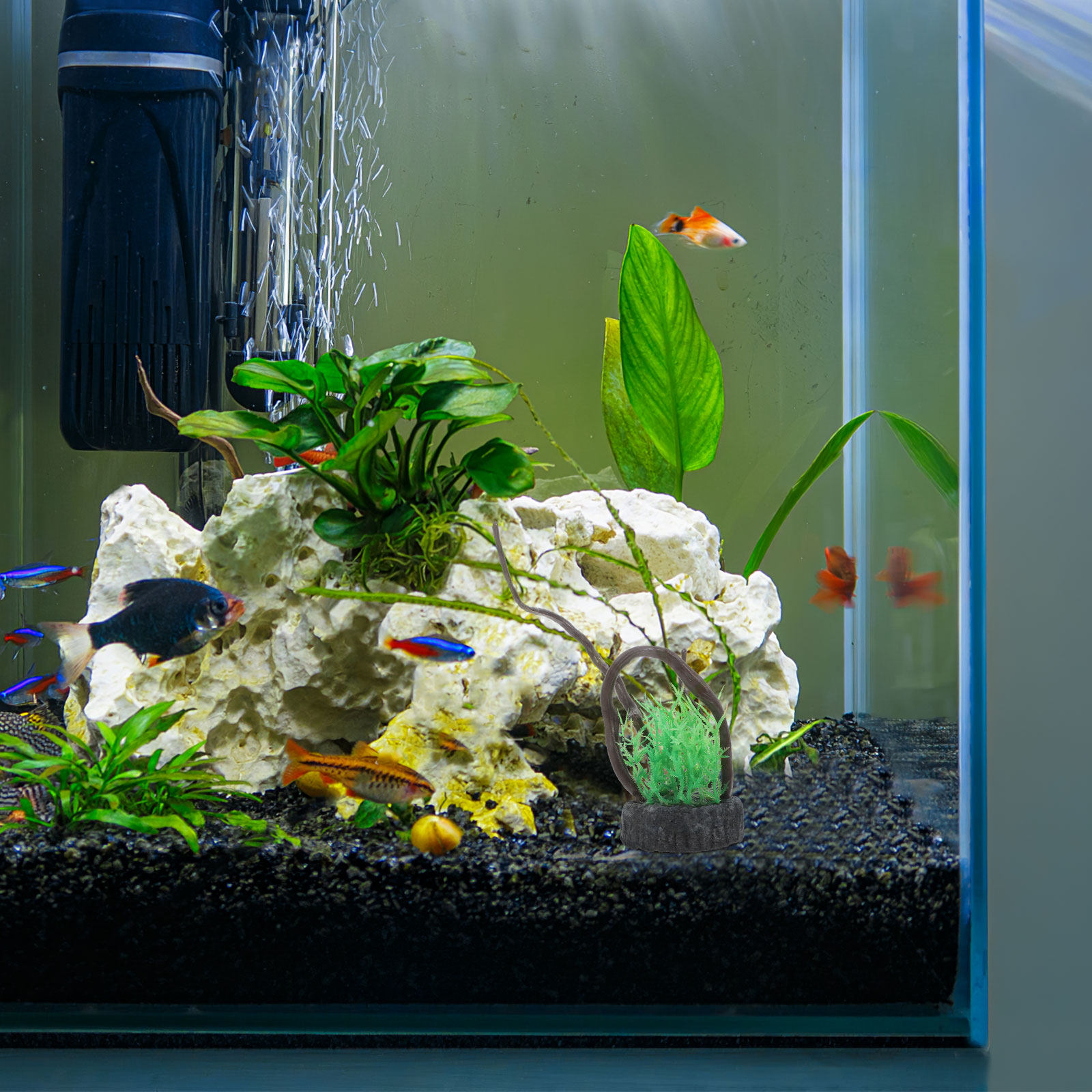 Realistyczny zestaw sztucznych – Non Planted Aquarium Fish recenzja i cena