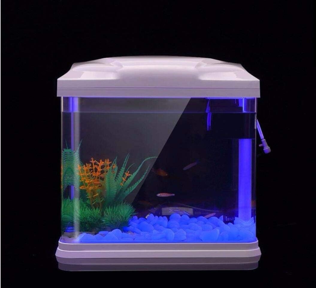 Fish Tank Rocks Glow Blue Pebb – Aquarium Planted Tank recenzja i cena