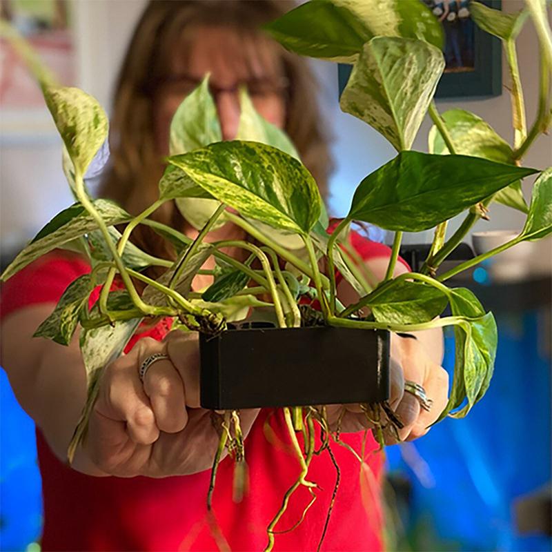 1 2 3 szt. Koszyk do podtrzymy – Aquarium Planted Set Up recenzja i cena