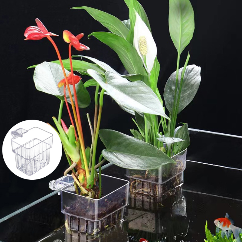 Wielofunkcyjny akwarium dla ry – Aquarium Planted Tank recenzja i cena