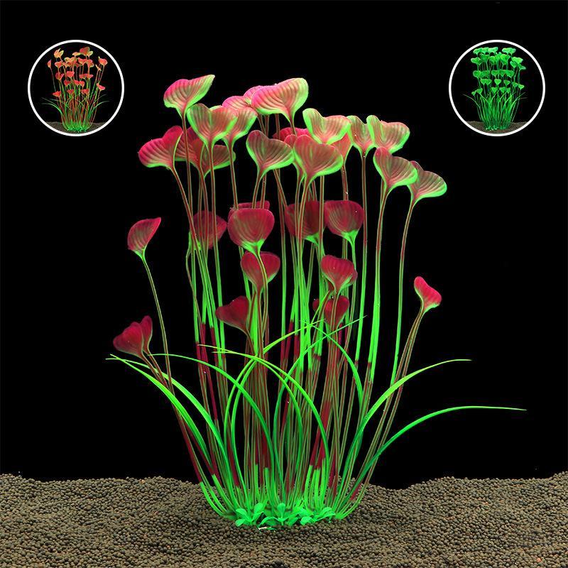 Sztuczne rośliny akwariowe o r – Non Planted Aquarium Fish recenzja i cena