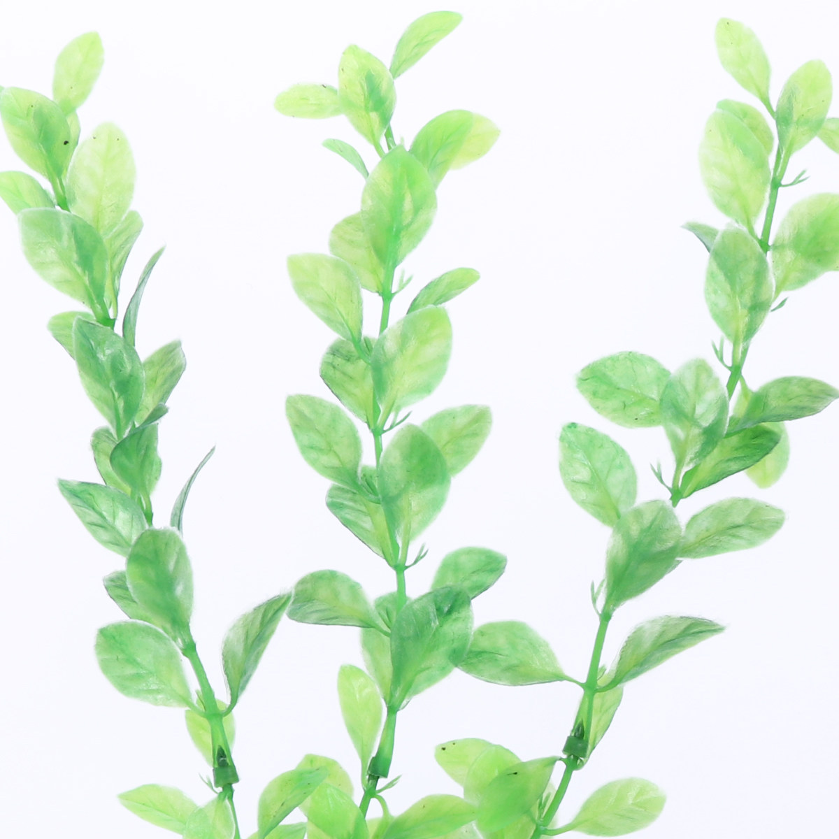 3 szt. Sztuczne zielone roślin – Non Planted Aquarium Fish recenzja i cena