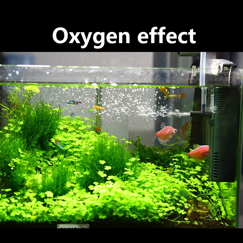 SUNSUN mini nano 111B 311B 611 – Aquarium Planted Tank Filter recenzja i cena